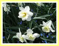 002.webp