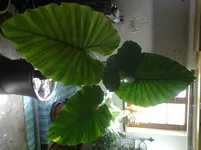 20150415_100535.webp