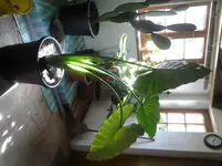 20150415_100448.webp