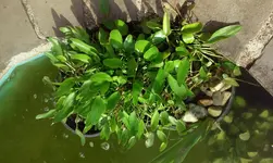 20150414_105005.webp