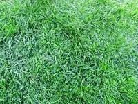 CIMG0100.webp