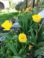 CIMG0097.webp