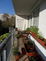 SDC12432.webp