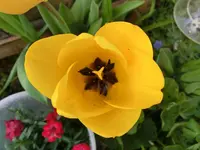 CIMG0085.webp