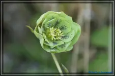 comp_DSC03134.webp