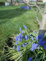 DSCN0905.webp