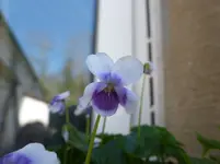 P1320681.webp