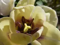P1320718.webp
