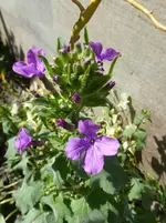 P1320811.webp