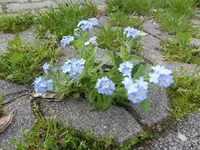 P1320832.webp