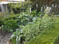 DSCN1366.webp