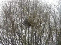 DSCN7549.webp