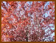 020.webp