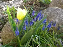DSCN7545.webp
