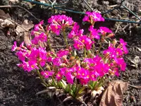 100_5911.webp