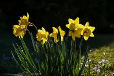 IMG_5523.webp