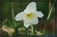 comp_DSC03138.webp