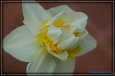 comp_DSC03144.webp