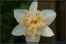 comp_DSC03145.webp