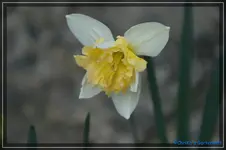 comp_DSC03149.webp