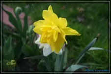 comp_DSC03173.webp