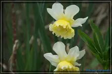 comp_DSC03132.webp