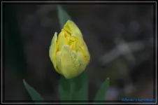 comp_DSC03169.webp