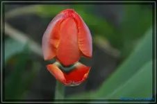 comp_DSC03170.webp