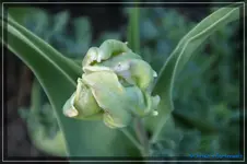 comp_DSC03171.webp