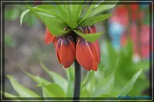 comp_DSC03141.webp