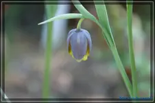 comp_DSC03142.webp