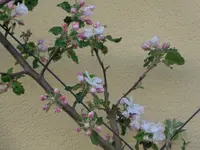 DSC01340.webp