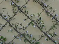 DSC01339.webp
