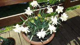 DSCF1308.webp