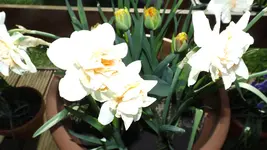 DSCF1309.webp