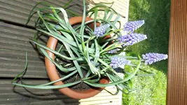 DSCF1313.webp