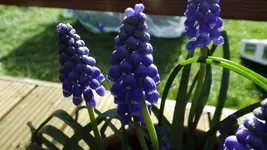DSCF1314.webp