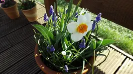 DSCF1315.webp