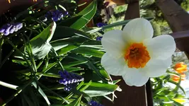 DSCF1316.webp