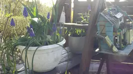 DSCF1366.webp