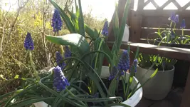 DSCF1367.webp