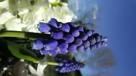 DSCF1319.webp