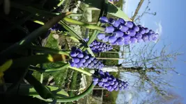 DSCF1321.webp