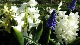 DSCF1317.webp