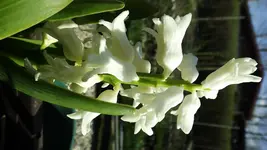DSCF1322.webp