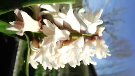 DSCF1325.webp