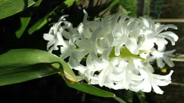 DSCF1349.webp