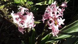 DSCF1350.webp