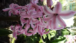 DSCF1351.webp