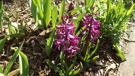 DSCF1358.webp